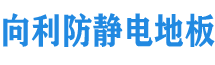 中國(guó)「向利」防靜電活動(dòng)地板有限公司